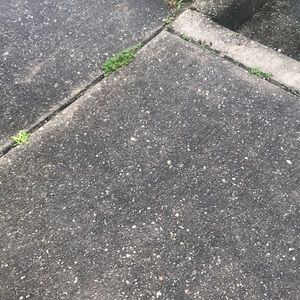 Meet your Posher, Bryan